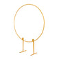 Iron Arch Background Balloon Birthday Party Stand